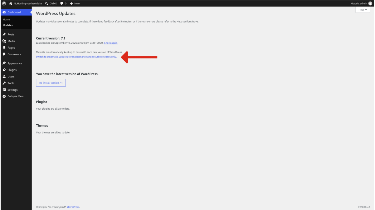 Stap 4: Schakel automatische updates voor WordPress in